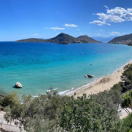 Zenso Studios Tolón Dış mekan fotoğraf